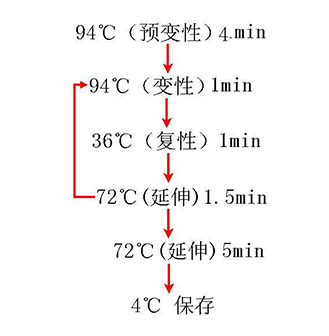NG官网 - 相信品牌的力量