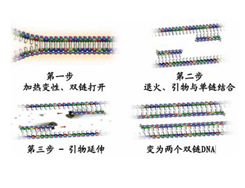 NG官网 - 相信品牌的力量